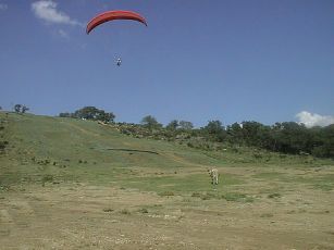 Training Hil at the Ranch